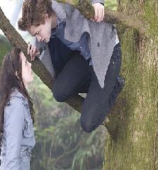Twilight: Not The Average Teenage Book