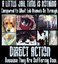 Animal Experimentation - Why the Pain must Stop #2