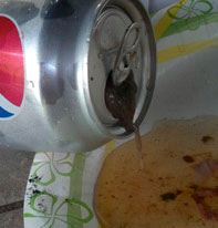 Urban Legend Came True: Frog In Diet Pepsi