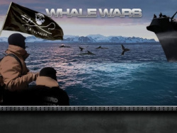 Whale Wars' New Season