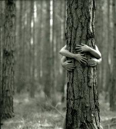 Trees Need Hugs Anyway