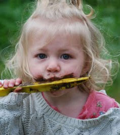 pica syndrome toddler pica syndrome toddler