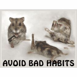 The Purposes of Bad Habits and Addictions
