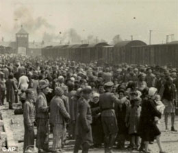 Letter From Auschwitz