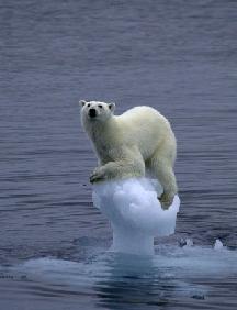 Global Warming Getting Way Out Of Hand?