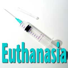 Essay euthanasia pro