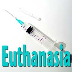 http://www.mibba.com/data/images/content/social-issues/euthanasia.jpg