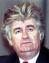 Monetary Awards For The Arrest Of Karadzic Will Remain Uncollected
