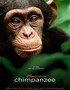 Disney Nature's Chimpanzee