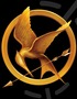 A Hunger Games Controversy