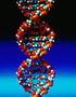 Cancer Patient's Genome Decoded