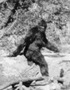Bigfoot Body Confirmed as Hoax