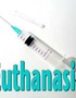 Euthanasia: Should it be Legal?