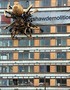 Giant Spider Shocks Liverpool