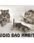 The Purposes of Bad Habits and Addictions