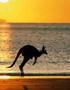 Man Saves Kangaroo