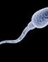 What Does it Mean to be a Sperm Donor?