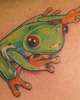 Rickey's Tree Frog Tattoo
