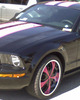Harper's Mustang
