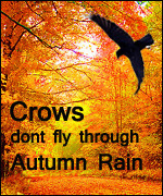 Crows Don't Fly Through Autumn Rain