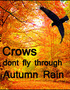 Crows Don't Fly Through Autumn Rain