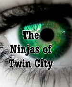 The Ninjas of Twin City