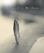 Fly Me Away
