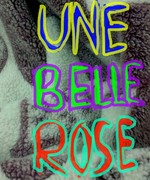 Une-Belle-Rose