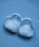 Genetically Manufactured Hearts