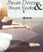 Swan Dives & Swan Necks.