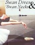 Swan Dives & Swan Necks.
