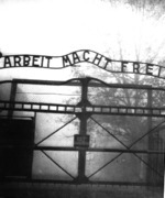 The Darling of Dachau