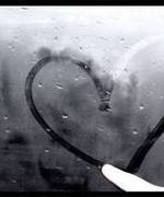 Love, Anonymous