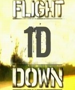 Flight 1D Down.