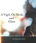 A Vigil, on Birds and Glass