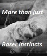 More Than Just Baser Instincts.