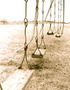The Abandoned Swings