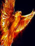 The Illusive Phoenix
