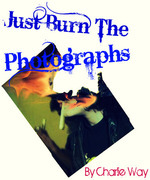 Just Burn the Photographs