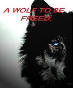 A Wolf To Be Freed