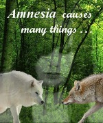 Amnesia Causes Many Things . . . Falling for My Enemy Isn't One of Them