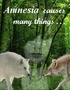 Amnesia Causes Many Things . . . Falling for My Enemy Isn't One of Them