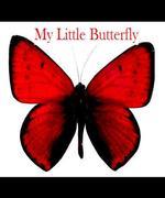 My Little Butterfly