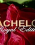 The Bachelor: Royal Edition