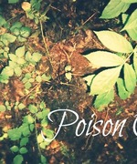 Poison Oak