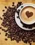 D'amour et de Café