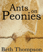 Ants on Peonies
