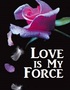 Love Is My Force