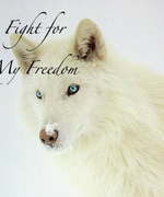 Fight for my Freedom