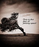 The Fear Of Falling Apart